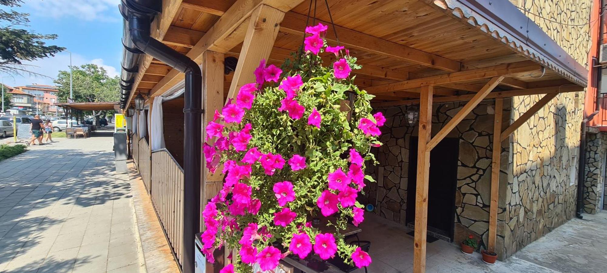 Sineva Guest House Ravda Exterior photo